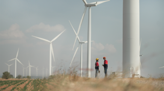 Wind Farm